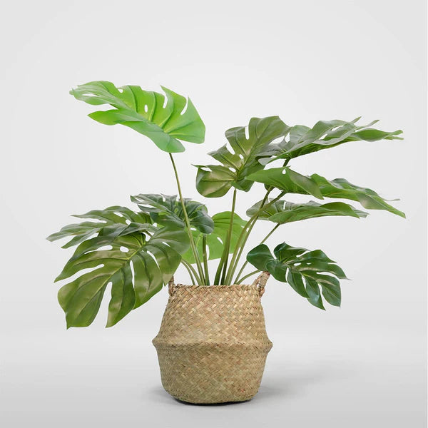 Monstera Plante artificielle 50 cm