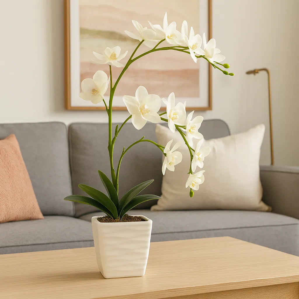 Orchidée Phalaenopsis 52 cm avec pot en céramique