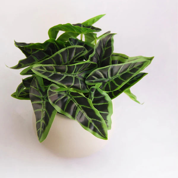 Flèche Singonio Plante artificielle 19,5 cm