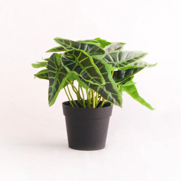 Flèche Singonio Plante artificielle 19,5 cm