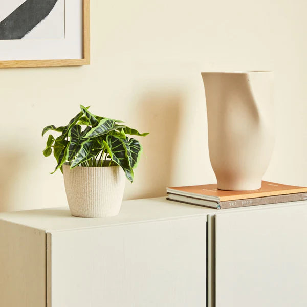 Flèche Singonio Plante artificielle 19,5 cm